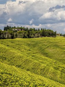 Preview wallpaper grass, field, hill