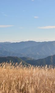 Preview wallpaper grass, field, hills, mountains, dry, nature