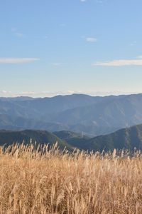 Preview wallpaper grass, field, hills, mountains, dry, nature