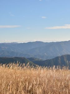 Preview wallpaper grass, field, hills, mountains, dry, nature