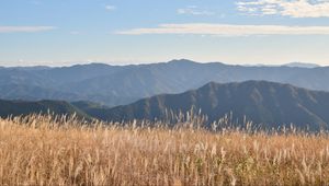 Preview wallpaper grass, field, hills, mountains, dry, nature