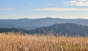 Preview wallpaper grass, field, hills, mountains, dry, nature