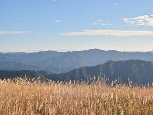 Preview wallpaper grass, field, hills, mountains, dry, nature