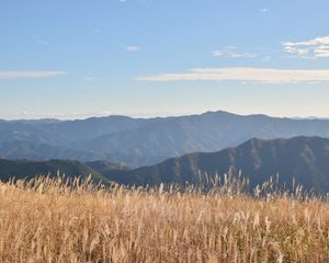 Preview wallpaper grass, field, hills, mountains, dry, nature