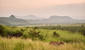 Preview wallpaper grass, field, landscape, mountains, nature