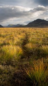 Preview wallpaper grass, field, mountains, nature