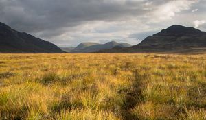 Preview wallpaper grass, field, mountains, nature