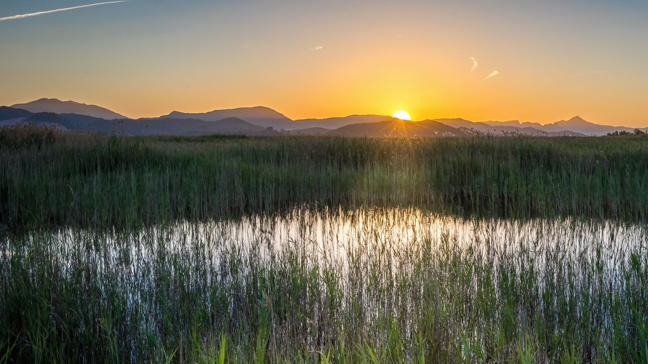 Wallpaper grass, field, mountains, sunrise, landscape