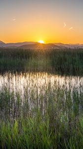 Preview wallpaper grass, field, mountains, sunrise, landscape