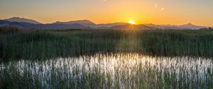 Preview wallpaper grass, field, mountains, sunrise, landscape