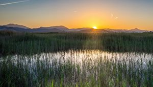 Preview wallpaper grass, field, mountains, sunrise, landscape