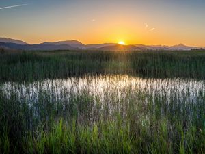 Preview wallpaper grass, field, mountains, sunrise, landscape