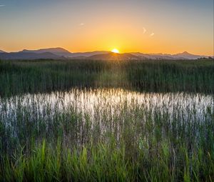 Preview wallpaper grass, field, mountains, sunrise, landscape