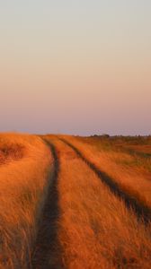 Preview wallpaper grass, field, path, nature