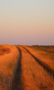 Preview wallpaper grass, field, path, nature
