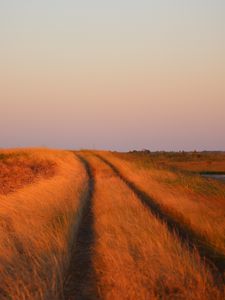 Preview wallpaper grass, field, path, nature