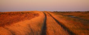 Preview wallpaper grass, field, path, nature
