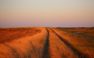 Preview wallpaper grass, field, path, nature