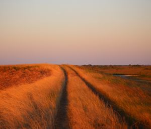 Preview wallpaper grass, field, path, nature