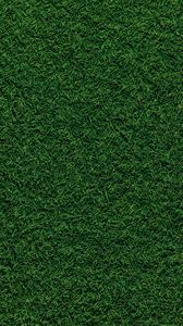 Preview wallpaper grass, field, pitch, green