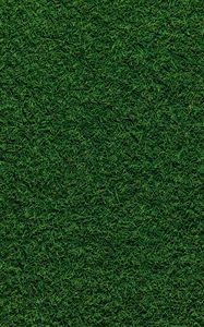 Preview wallpaper grass, field, pitch, green