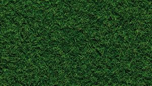 Preview wallpaper grass, field, pitch, green