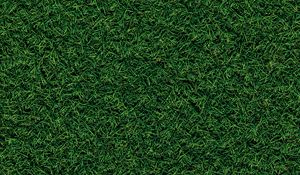 Preview wallpaper grass, field, pitch, green