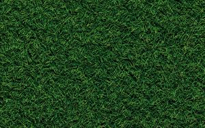 Preview wallpaper grass, field, pitch, green