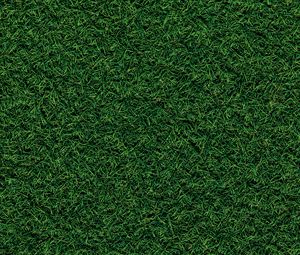 Preview wallpaper grass, field, pitch, green