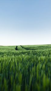 Preview wallpaper grass, field, road, green, sky