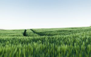 Preview wallpaper grass, field, road, green, sky