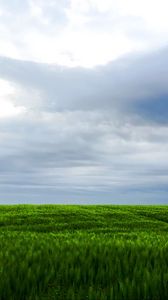 Preview wallpaper grass, field, sky, landscape, nature