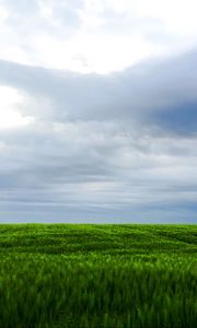 Preview wallpaper grass, field, sky, landscape, nature