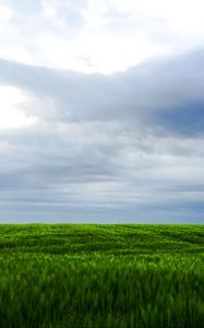 Preview wallpaper grass, field, sky, landscape, nature
