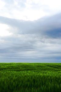 Preview wallpaper grass, field, sky, landscape, nature