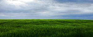 Preview wallpaper grass, field, sky, landscape, nature