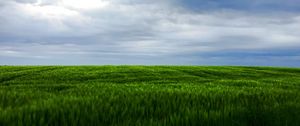 Preview wallpaper grass, field, sky, landscape, nature