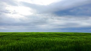 Preview wallpaper grass, field, sky, landscape, nature