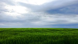 Preview wallpaper grass, field, sky, landscape, nature