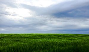 Preview wallpaper grass, field, sky, landscape, nature