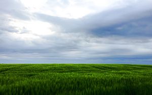 Preview wallpaper grass, field, sky, landscape, nature