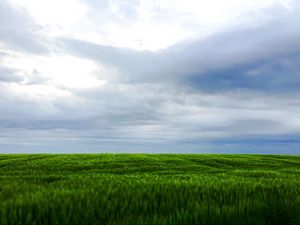 Preview wallpaper grass, field, sky, landscape, nature