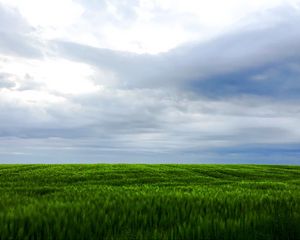 Preview wallpaper grass, field, sky, landscape, nature