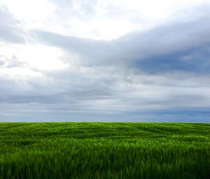 Preview wallpaper grass, field, sky, landscape, nature