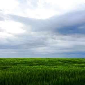 Preview wallpaper grass, field, sky, landscape, nature