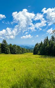 Preview wallpaper grass, field, trees, sky, nature