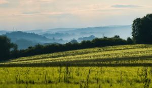 Preview wallpaper grass, field, trees, forest, sky