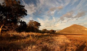 Preview wallpaper grass, field, trees, sunlight, landscape