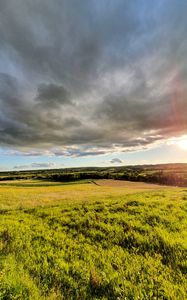 Preview wallpaper grass, field, trees, bushes, rays, sky