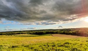 Preview wallpaper grass, field, trees, bushes, rays, sky